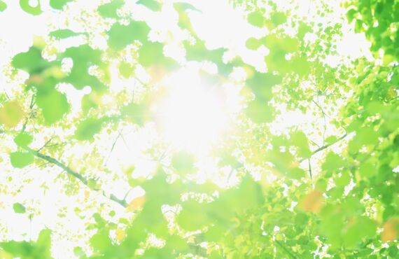 高山の元気作りジム　ミナギル.で膝痛を解消しましょう！